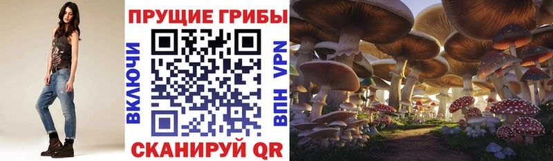 Галлюциногенные грибы GOLDEN TEACHER  Мосальск 